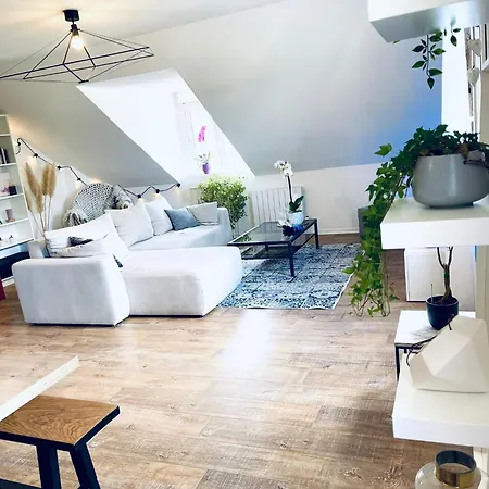 Appartement Spacieux Et Lumineux Ideal Couple Ou Petite Famille * Caen